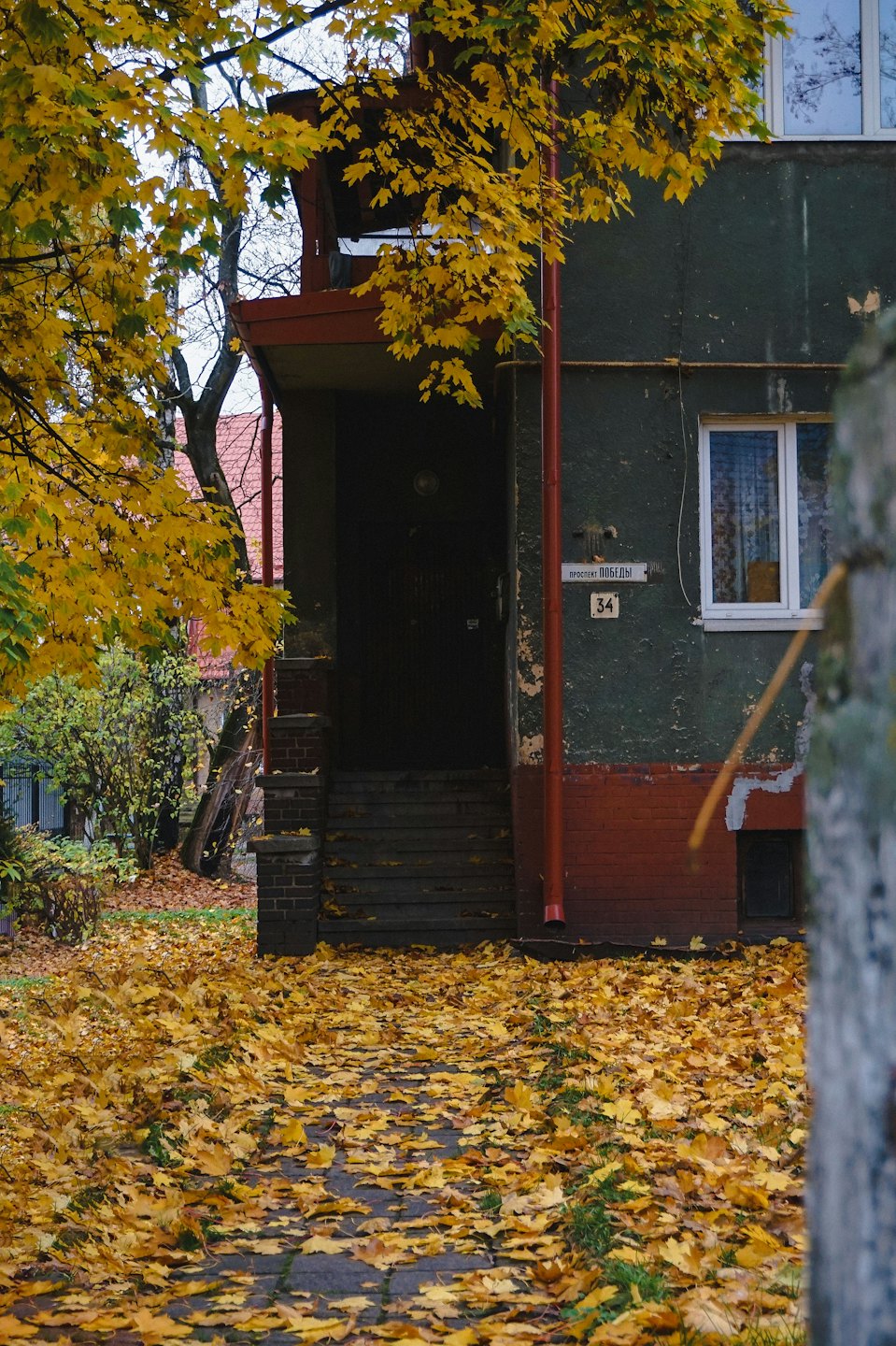 Entrée d'appartement avec des feuilles jaunes tombées au sol.